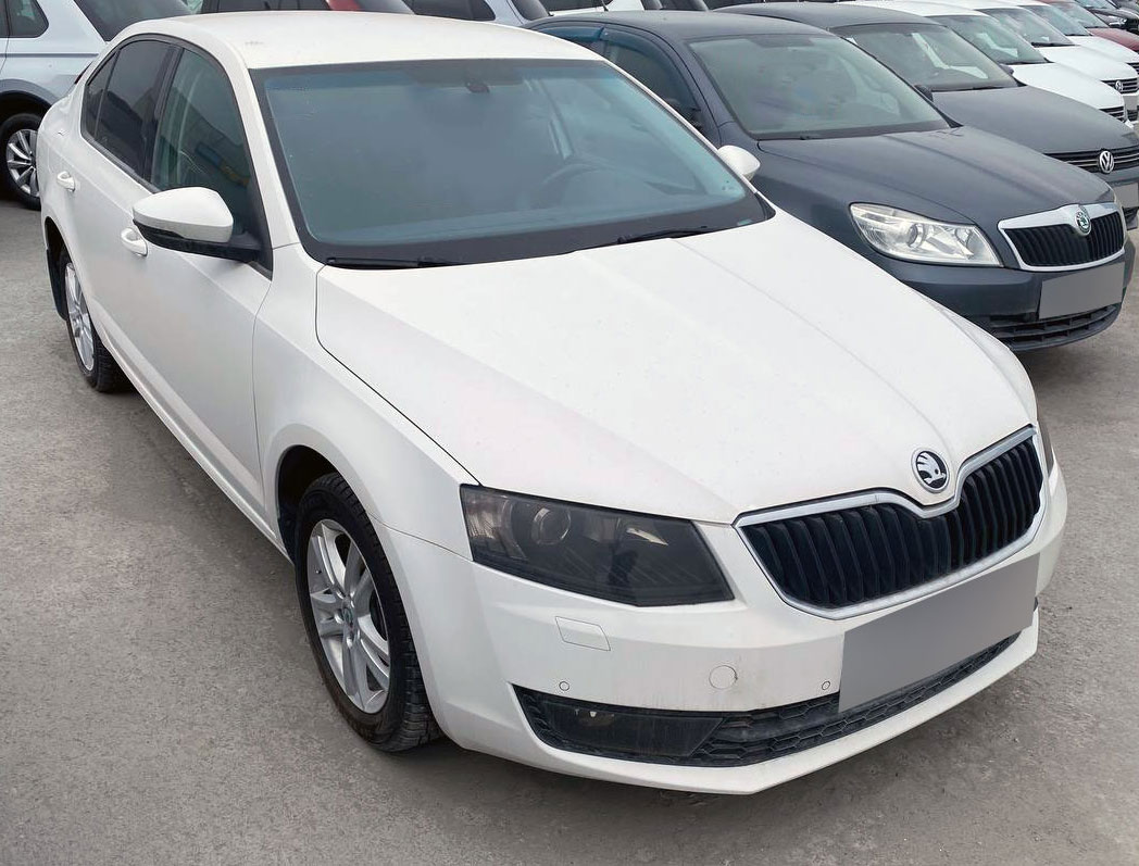 Прокат Skoda Octavia в Калуге без водителя - 2200 в день